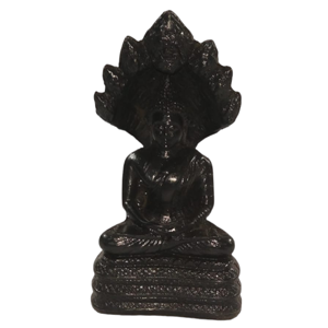Small Snake Buddha