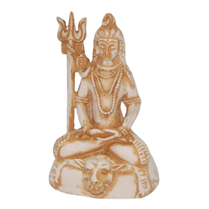 6"Shiva