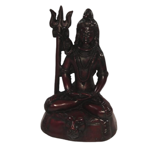 6"Shiva