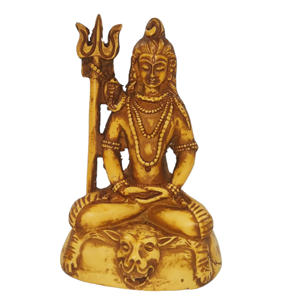 6"Shiva