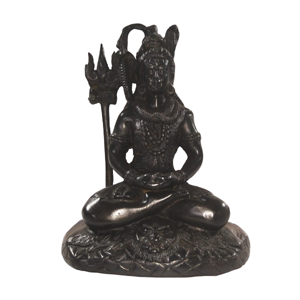 10"Shiva