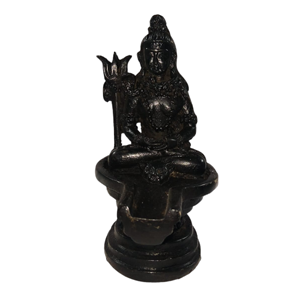 4"shiva on shiva Linga